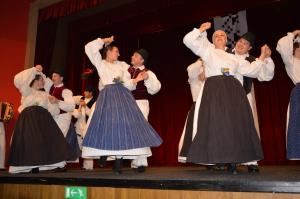 Območno srečanje odraslih folklornih skupin 12